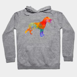 Save Valley Scenthound in watercolor Hoodie